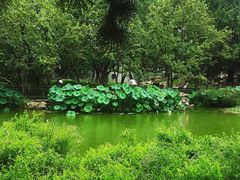 -宣武艺园