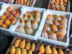 -江杨农产品批发市场