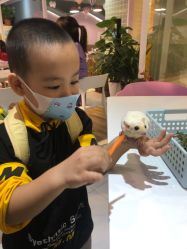 -Moni星球萌宠·小马宝莉·灵蛇·高端高阶全萌宠互动体验俱乐部(红豆国际广场店)