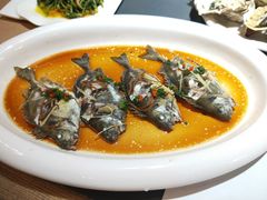 清蒸泥猛鱼-79号渔船海鲜饭店(华强北店)