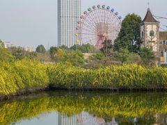 -成都南湖公园