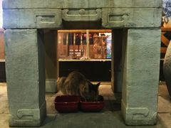 -猫的天空之城概念书店(苏州平江店)