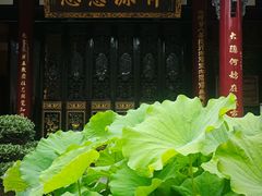 -成都尼依格罗酒店
