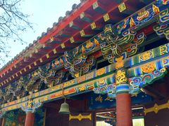 -护国法轮寺
