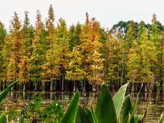 -白鹭湾湿地公园