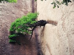 -嵖岈山风景区
