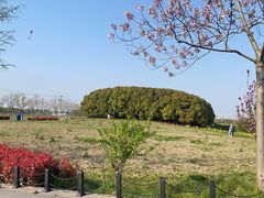 -嘉北郊野公园