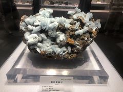 -湖南省地质博物馆