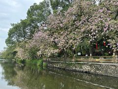 -潮州西湖