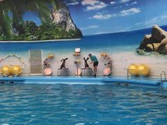 -尼莫海豚馆