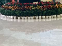 -中国人民解放军总医院