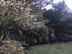 -杭州黄龙洞