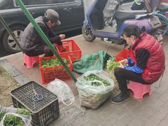 -攀枝花·任德琼·盐边羊肉米线