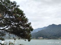 -羚羊峡古栈道森林公园