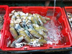 -渔民新村(番禺总店)