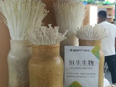 -沈阳国际会展中心管理有限公司