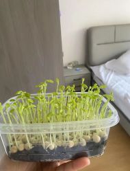-艾薇朵朵全套房月子中心(江宁店)