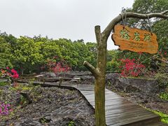 -海口火山口国家地质公园