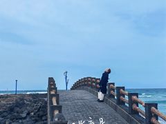 -涉地可支