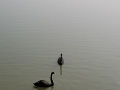 -天津东丽湖风景区