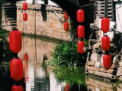 -嘉定紫藤园