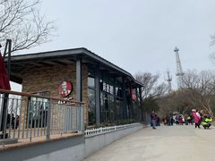 -紫金山山顶公园