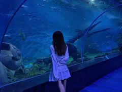 -多彩贵州城极地海洋世界