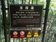 龙现瀑-藏龙百瀑风景区