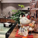 精致打工人的生活从一壶手冲开始[偷笑]
