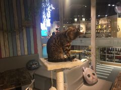 -小时光咖啡馆(开森度假森林店)