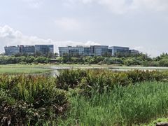 -华侨城湿地公园