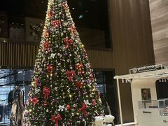 -珠海中海雅高铂尔曼酒店