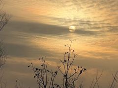 -野鸭湖国家湿地公园