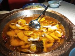 -雲蜀龙阁·金牌水煮鱼(方庄店)