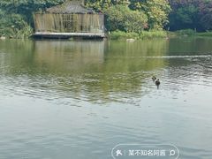 -海珠湖公园