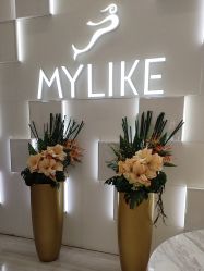 -深圳美莱医疗美容医院