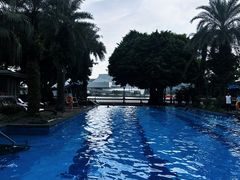 -广州白天鹅宾馆