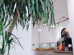 -怪 kafe.