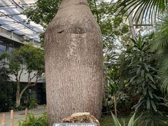 -北京植物园-展览温室