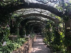 -亚龙湾热带天堂森林公园