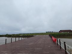 -盐城丹顶鹤湿地生态旅游区