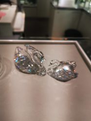 -SWAROVSKI(虹口凯德龙之梦店)