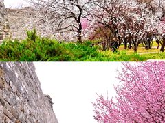 -北京明城墙遗址公园