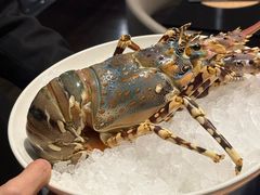 -重庆尼依格罗酒店·欣厨Niccolo Kitchen