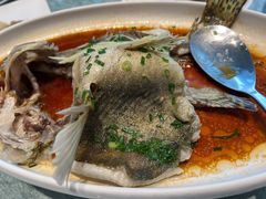 清蒸桂花鱼-花城苑广府菜(侨鑫店)