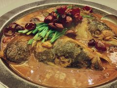 -绿岛国际酒店·海鲜酒楼(八七路店)