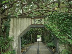 -广西壮族自治区药用植物园