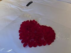 -上海外滩悦榕庄酒店
