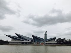 -盐城丹顶鹤湿地生态旅游区