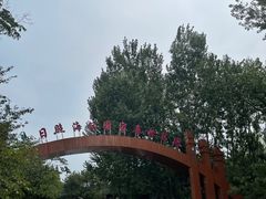 -日照海滨国家森林公园